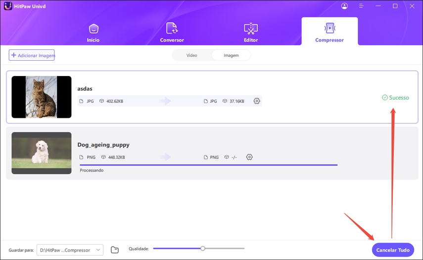 baixar imagem compactada hitpaw video converter