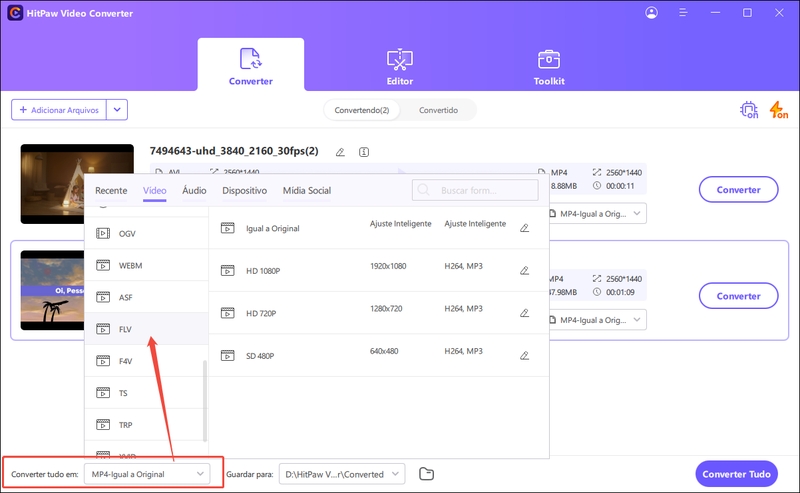 selecione flv como o formato de saída