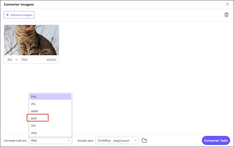 escolher para converter jpg para bmp