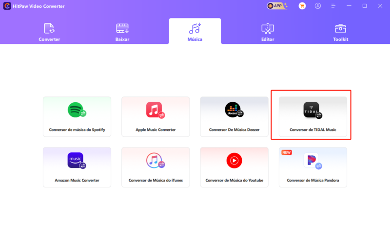 hitpaw tidal converter