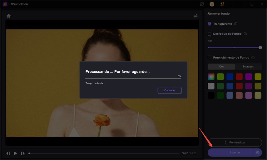 exportar vídeo após remover o fundo no vikpea