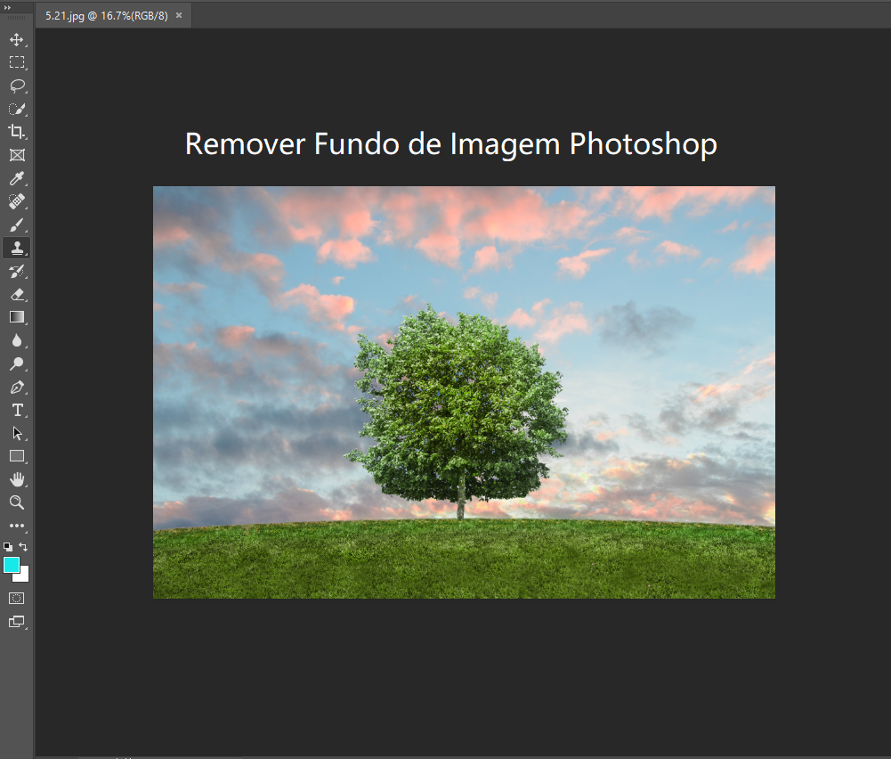 Maneira Rápida de Remover Fundo de Imagem no Photoshop