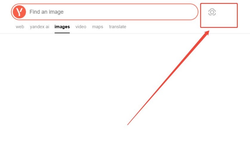 ative a busca por imagem