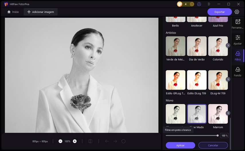 Recolorir uma Imagem com Hitpaw FotorPea