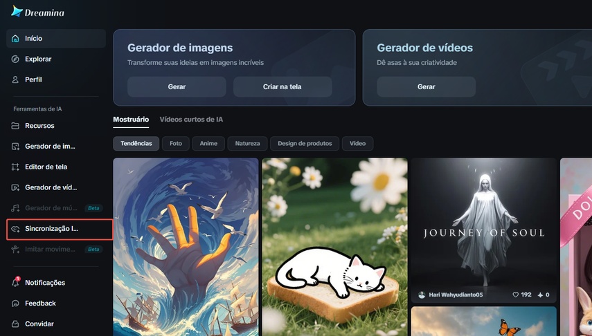 Opção de Lip Sync ou Animação de Imagem no Dream Mina
