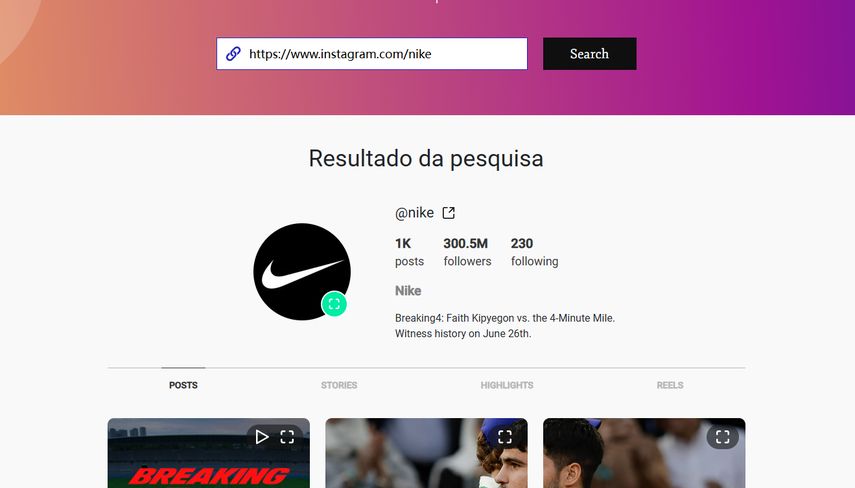 Interface de ferramenta online para visualizar Instagram anonimamente